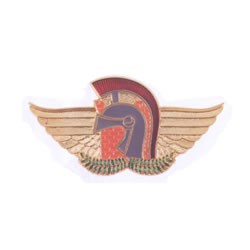 Curso de Controle de Distúrbios Civis 